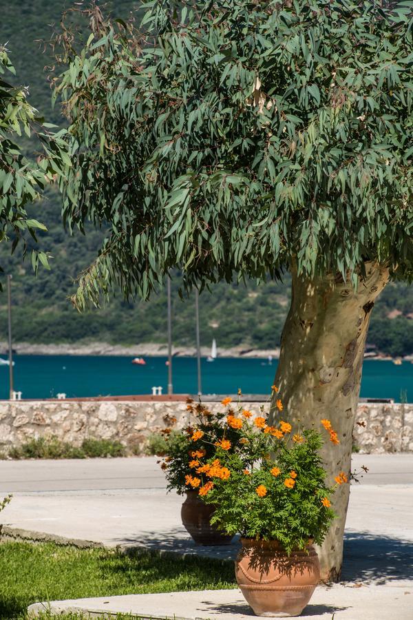 Hotel Akroyiali Vasiliki